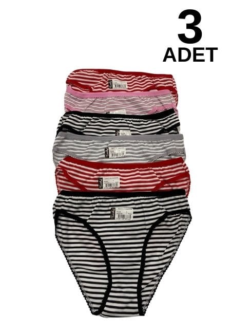 Tutku 545 Neşe Kadın Bikini Külot 3 lü  Paket