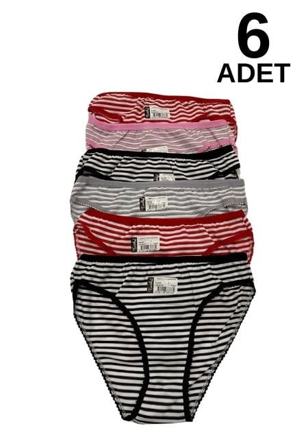 Tutku 545 Neşe Kadın Bikini Külot 6 li Paket