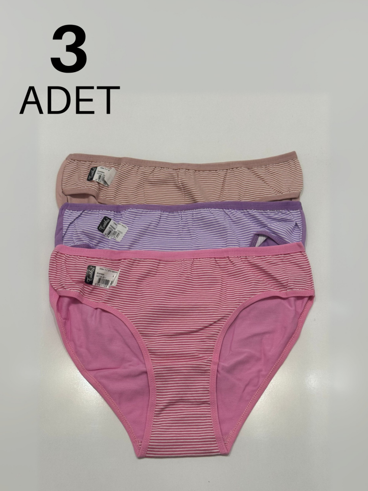 Tutku 594 Berry  Kadın Bikini Külot 3 lü Paket