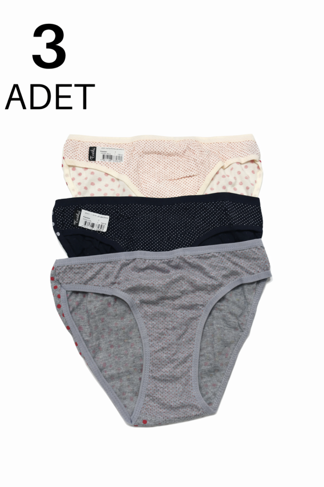 Tutku 537 Özlem Kadın Bikini Külot 3 lü Paket